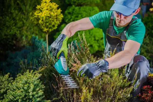 landscaping services Continental